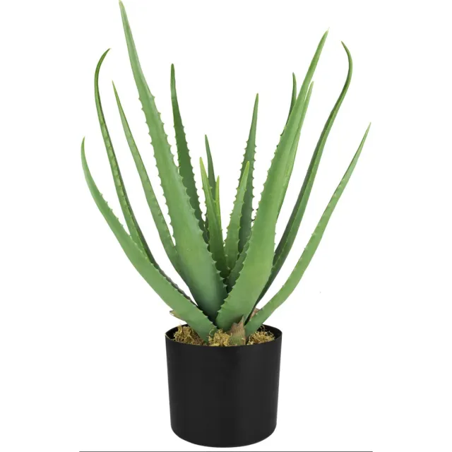 Decovego Kunstmatige Aloë Vera Kamerplant, 50 cm, Kunststof Plant voor Binnen, Onderhoudsvriendelijk en Decoratief