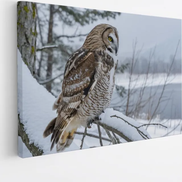 Saammp Canvas Schilderij - Uil in de sneeuw - winter - Dieren - 100x75 - Foto op canvas - Wanddecoratie - muurdecoratie Woonkamer - Slaapkamer decoratie - Canvas Print Multicolor