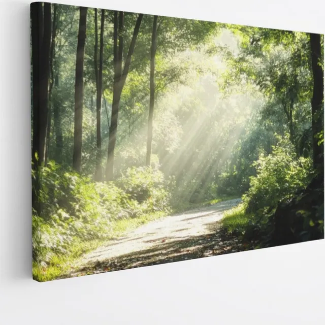 Saammp Canvas Schilderij - Bos - Bomen - Pad - Natuur - Landschap - 120x80 - Foto op canvas - Wanddecoratie - Muurdecoratie Woonkamer - Slaapkamer decoratie - Canvas Print Multicolor