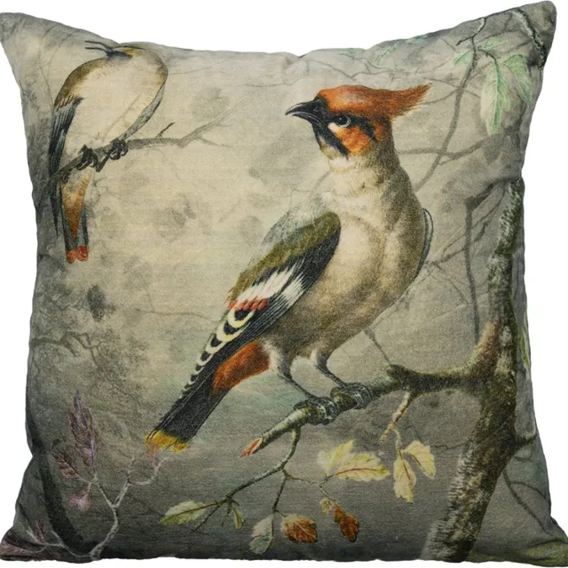 Mars & More Charming kuifvogel - fluwelen sierkussen - 45 x 45 cm Multi