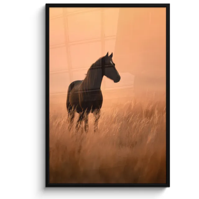 FrameYourWall Poster in lijst - Fotolijst 80x120 cm - Posters - Paard - Grasveld - Zonsondergang - Posterlijst zwart - Decoratie - Wanddecoratie woonkamer - Muurdecoratie slaapkamer