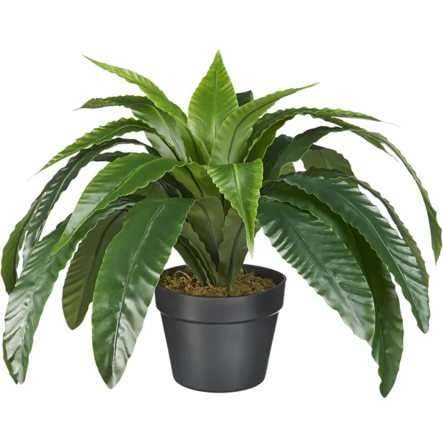 HTT Decorations Kunstplant Asplenium/Varen H40cm - HTT Decorations kunstplanten Groen