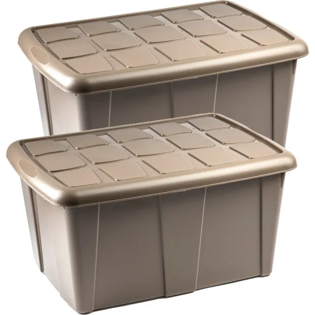 PLASTICFORTE Opbergbox met deksel - 2x - Beige - 60L - kunststof - 63 x 46 x 32 cm