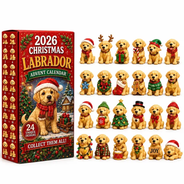 SWGOTA Adventskalender 2026 met 24 labradorfiguurtjes - Kerstthema - 26 x 18 x 3 cm Rood
