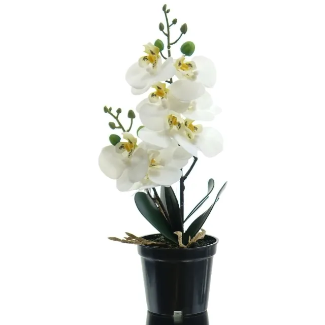 Gasper Orchidee Phalaenopsis Wit in zwarte pot 30 cm - Kunstplanten
