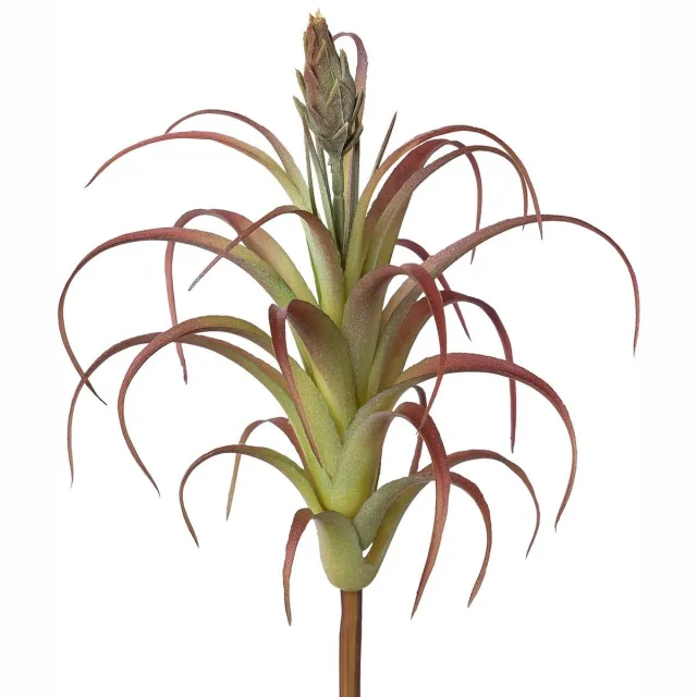 Gasper tillandsia groen-rood met knop 22 cm - kunstplant