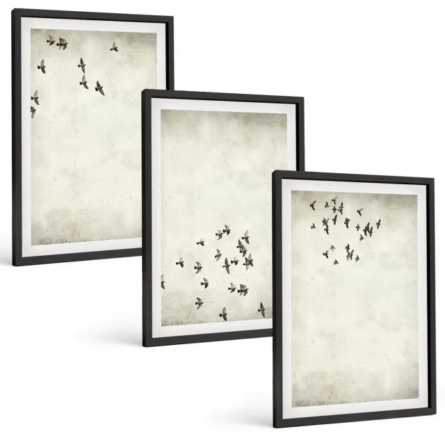 Coloray 3-Delige Schilderij Set - Minimalistisch Schilderij Van Vliegende Vogels - 40 x 60 cm - Wanddecoratie - Muurdecoratie - Woonkamer - Stijlvolle Muurdecoratie Zwarte lijst