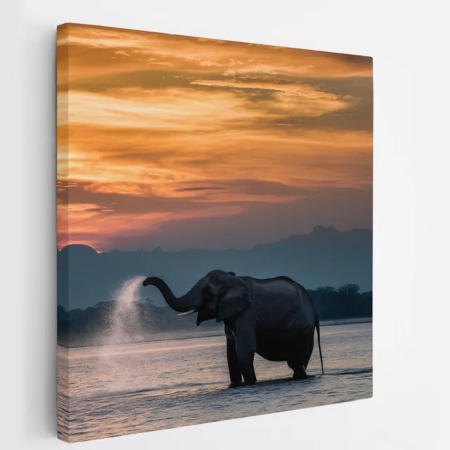 Saammp Canvas Schilderij - Olifanten in het water - Afrika - Dieren - 100x100 - Foto op canvas - Wanddecoratie - muurdecoratie Woonkamer - Slaapkamer decoratie - Canvas Print Multicolor