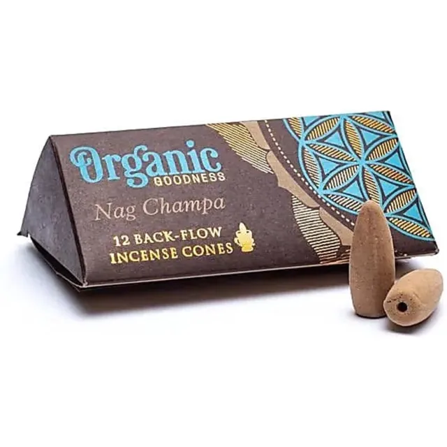 Phoenix Wierook kegels Nag champa Meerkleurig