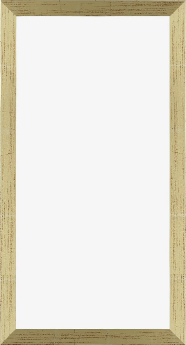 Dutch Frame Factory Fotolijst 40x70 cm - MDF - Goud Glans - Marseille