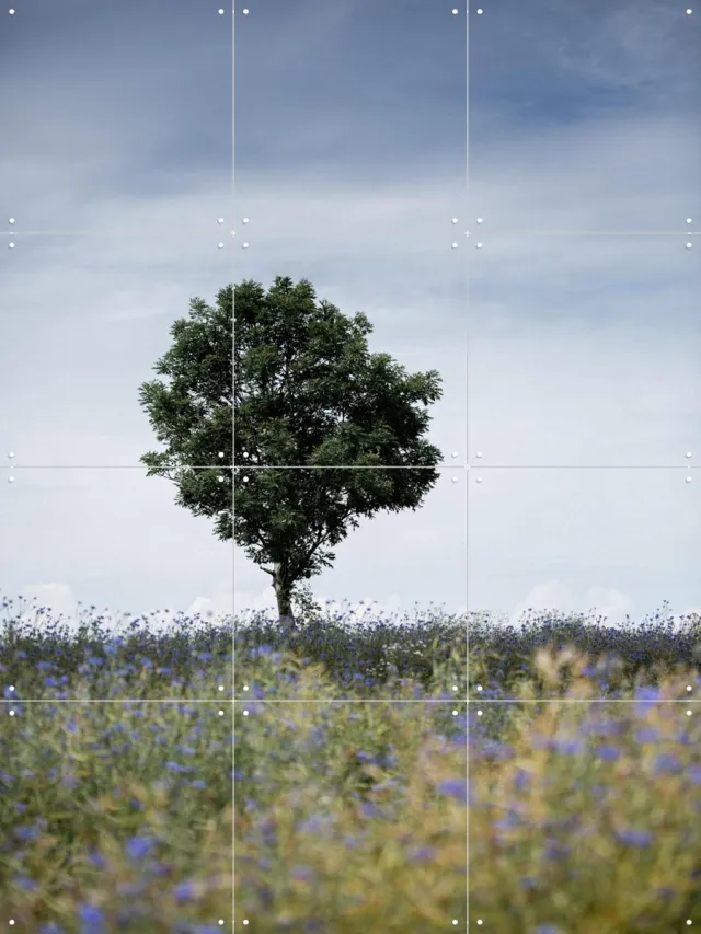 IXXI Summer Meadow, Mareike Böhmer - 60 x 80 cm - Grote wanddecoratie en posters - Fotografie, Kleurrijk, Natuur, Zomer, Botanisch, Landschappen