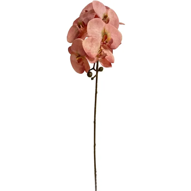 homebound by ky Kunsttak Vlinderorchidee 101cm roze