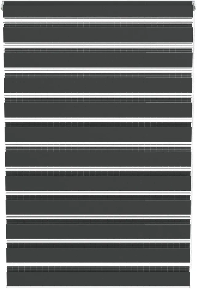 Aufun Doppelrollo Klemfix zonder Boren, Duo Zebrarollo Blickdicht Lichtdoorlatend voor Venster & Deur, Zwart, 120x220cm
