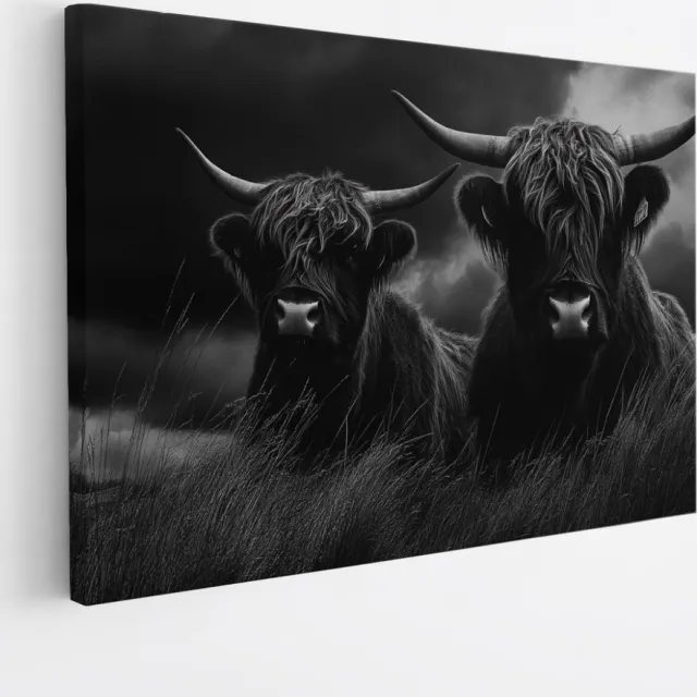 Saammp Canvas Schilderij - Hooglander koeien in hoog gras - Natuur - Dieren - 30x20 - Foto op canvas - Wanddecoratie - Muurdecoratie Woonkamer - Slaapkamer decoratie - Canvas Print multicolor