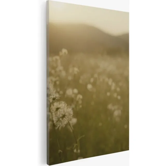 Saammp Canvas Schilderij - Landschap - Wit - Bloemenveld met zonsondergang - Natuur - 50x70 - Foto op canvas - Wanddecoratie - Muurdecoratie Woonkamer - Slaapkamer decoratie - Canvas Print Multicolor