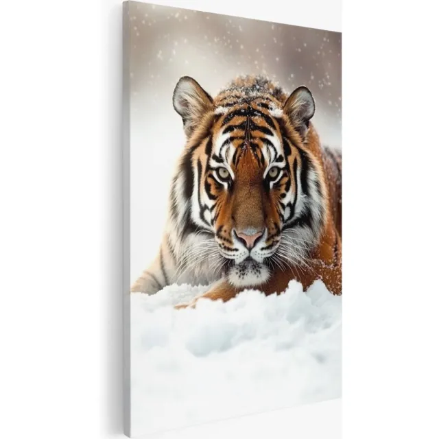 Saammp Canvas Schilderij - Tijger in de sneeuw - Dieren - Natuur - 50x70 - Foto op canvas - Wanddecoratie - Muurdecoratie Woonkamer - Slaapkamer decoratie - Canvas Print Multicolor