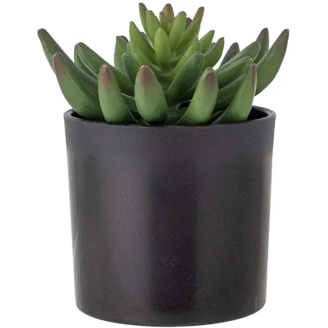 Bloomingville Kunstplant Echeveria Plant Print