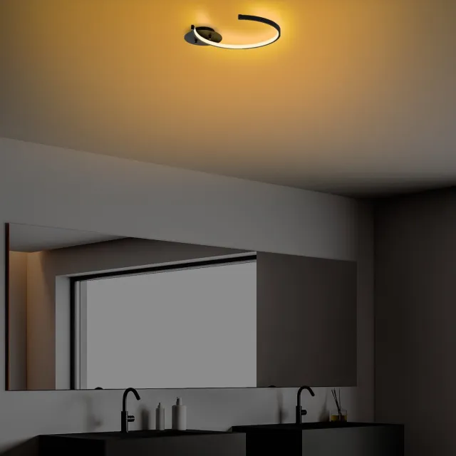 Dimehouse Plafondlamp Zwart Metaal Lunaris