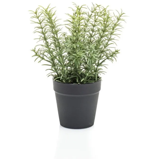 Emerald Thyme in black pot 22 cm kunstplant Emerald groen
