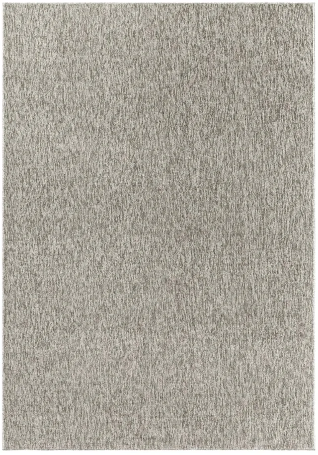 Dutch XXL Laagpolig Vloerkleed | Tapijt | Nizza | Gemêleerd | Beige | 80x150 cm, foto 3
