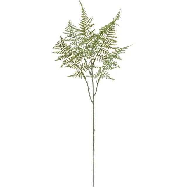 maxifleur Kunstplanten Asparagus Kunsttak 66cm Groen