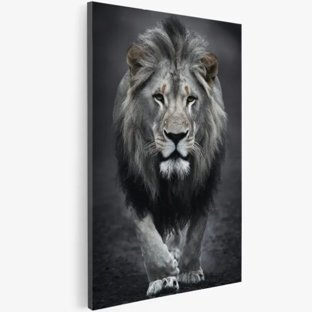Saammp Canvas Schilderij - Leeuw - Portret - Dieren - 80x120 - Foto op canvas - Wanddecoratie - Muurdecoratie Woonkamer - Slaapkamer decoratie - Canvas Print Multicolor