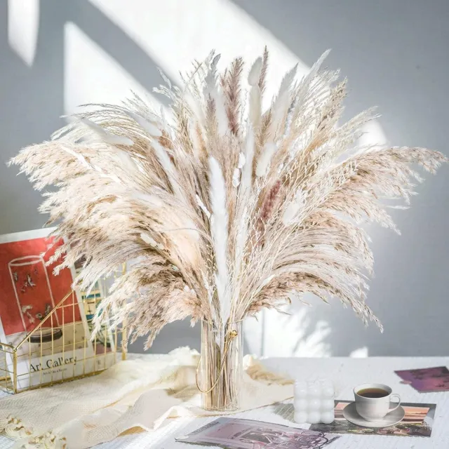meerklose 60 Stuks Pampas Gras Gedroogd Natuurlijk Gedroogde Bloemen Deco DIY Droog Bloemen Boeket, Pampas Gras Boeket Rietbloem Deco Ideaal voor Boho Woonkamer veelkleurig