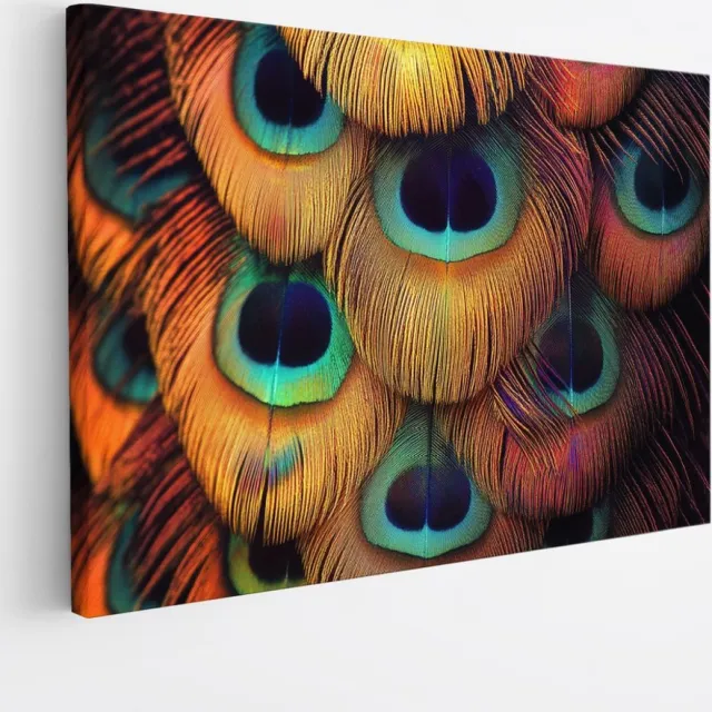 Saammp Canvas Schilderij - Pauwveren - Natuur - Dieren - 30x20 - Foto op canvas - Wanddecoratie - Muurdecoratie Woonkamer - Slaapkamer decoratie - Canvas Print Multicolor