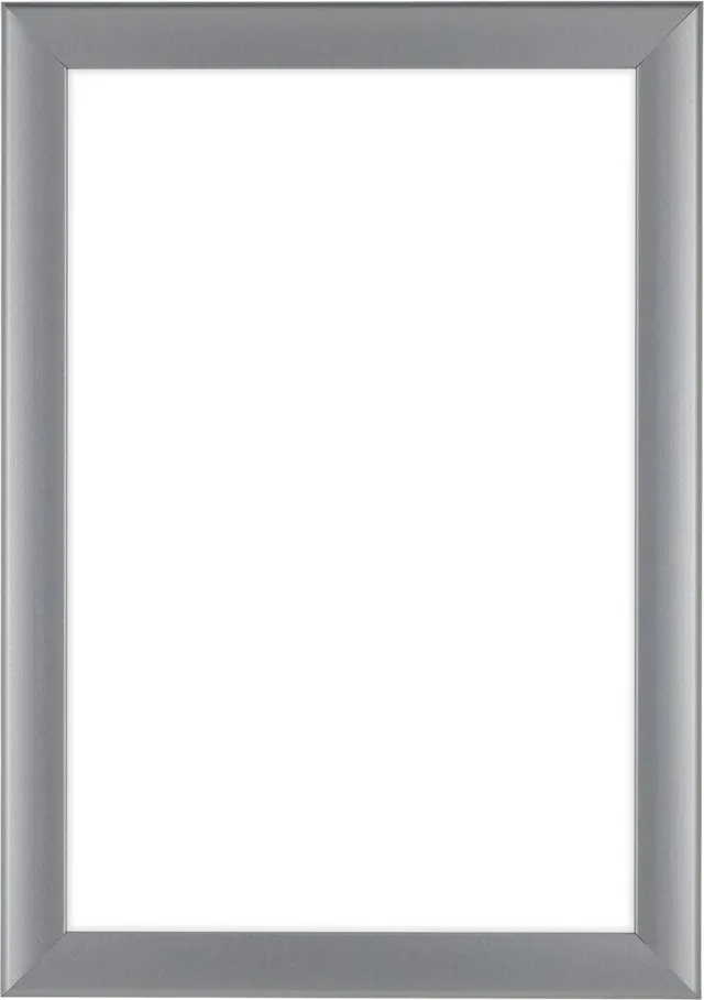 Dutch Frame Factory Fotolijst 40x60 cm - MDF - Zilver Mat - Colonia