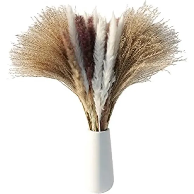 meerklose Pampasgras decor, 50 stuks zoete gedroogde bloemen boeket wit pampasgras kunstmatige gedroogde bloemen pluizige en zachte pampa's voor taart decoraties bloemen decoratief