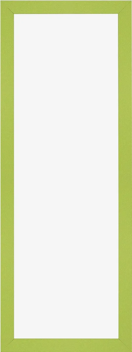 Dutch Frame Factory Fotolijst 33x98 cm - MDF - Helder Groen - Benno