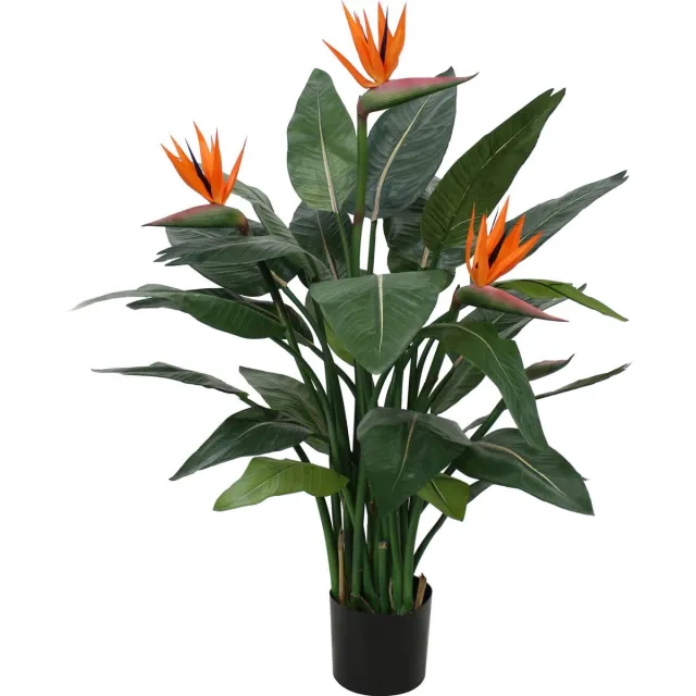 Designplants Strelitzia Kunstplant Groen
