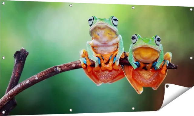 Gards Tuinposter Twee Boomkikkers op een Tak - 140x70 cm - Tuindoek - Tuindecoratie - Wanddecoratie buiten - Tuinschilderij Multikleur