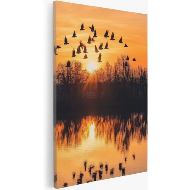 Saammp Canvas Schilderij - Vogels in nederland - Zonsondergang - Natuur - Dieren - 80x120 - Foto op canvas - Wanddecoratie - Muurdecoratie Woonkamer - Slaapkamer decoratie - Canvas Print Multicolor