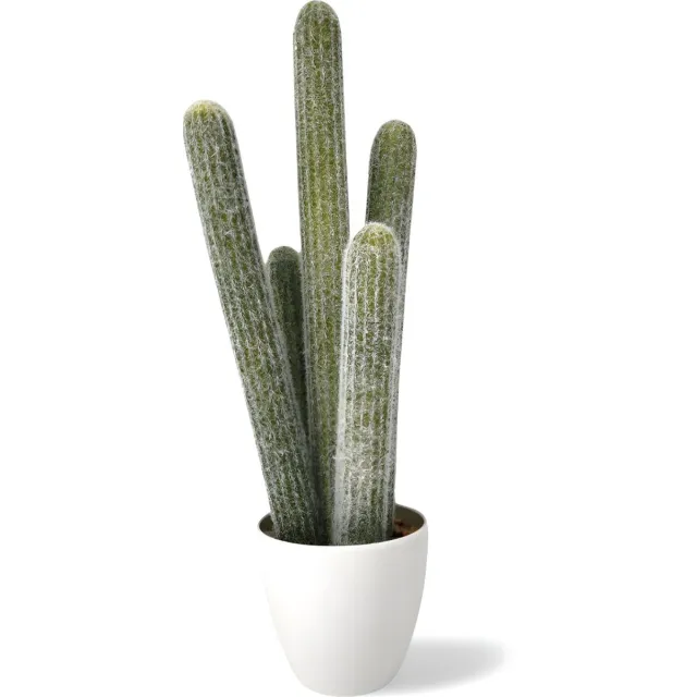 Dulaire Nep Cactus Groot 54 cm wit