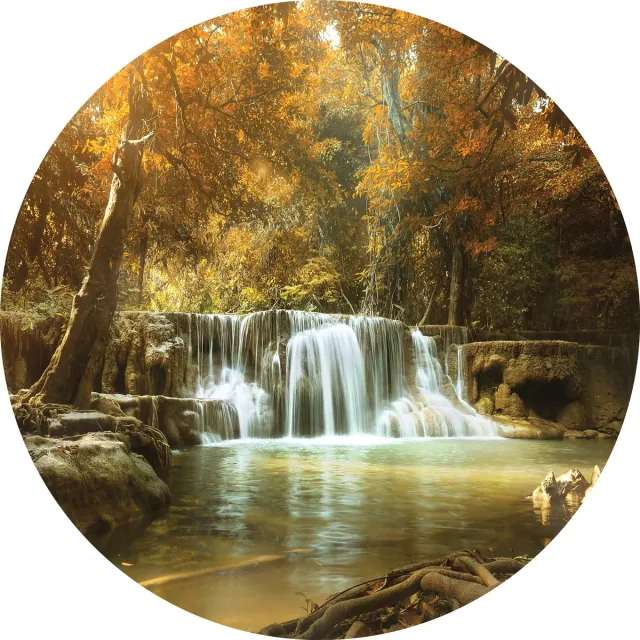 Tizato Muurcirkel Bos met waterval – Zelfklevende wandcirkel Muursticker – Ø 182 cm multi