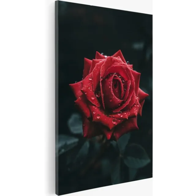 Saammp Canvas Schilderij - Rode roos - Bloemen - Natuur - 30x40 - Foto op canvas - Wanddecoratie - Muurdecoratie Woonkamer - Kantoor Decoratie Multicolor