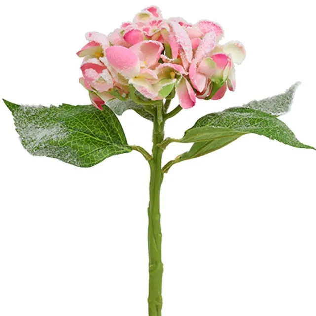 Viana Hortensia roze met sneeuw 33cm 4 st