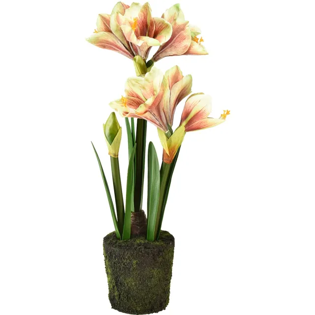 Viana Amaryllis in mosbol kunst met roze-geel gedessineerde bloemen - 45 cm