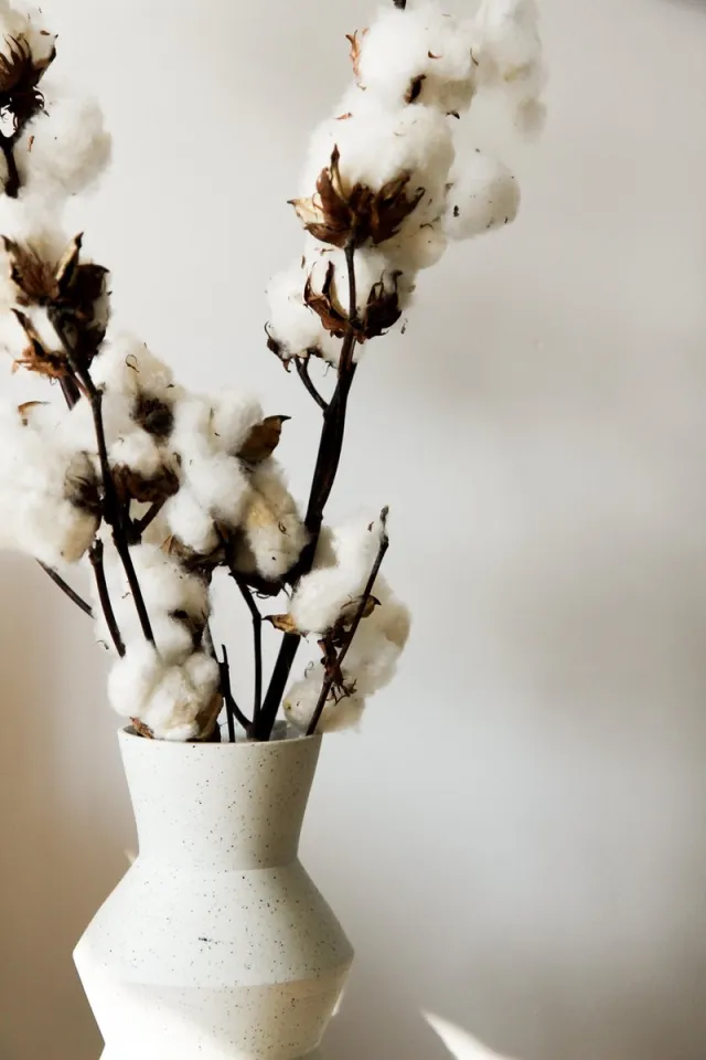 Natuurlijk Bloemen Katoentakken - Droogbloemen - Decoratietak - Katoentak - 3 stuks - Natuurlijk Bloemen wit