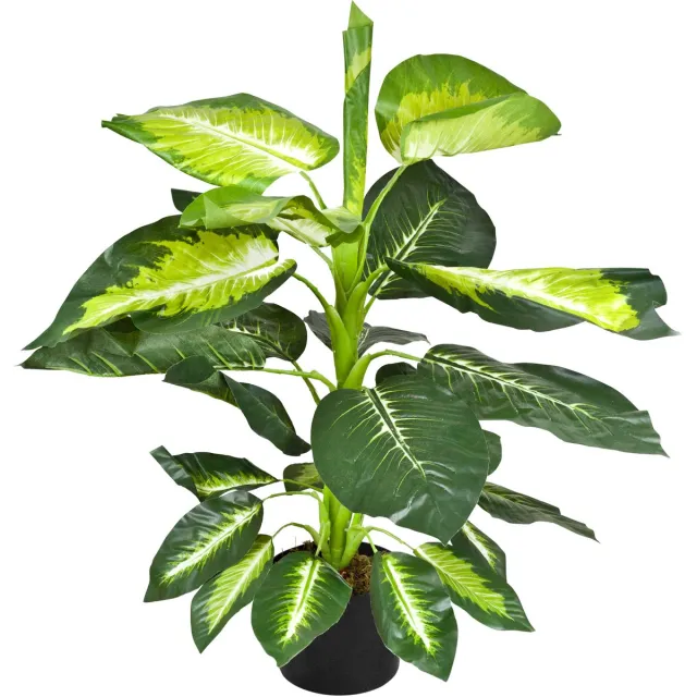 Decovego Kunstmatige Dieffenbachia, 75 cm Kunstplant voor Woonkamer & Kantoor, Levensechte Decoratie, Onderhoudsvriendelijk & Allergievriendelijk Groen