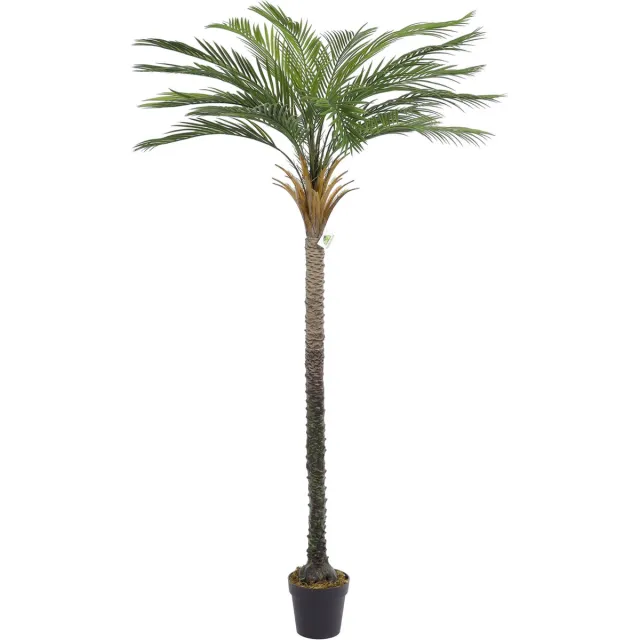 Kunstpalm Kunst Palmboom California | 200cm - Namaak palmboom - Kunstplanten voor binnen - Kunstpalm Lichtgroen