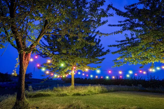 Happy Lights HappyLights lichtsnoer buiten [Outdoor] Chilli Pepper - 30 LED's - 15m