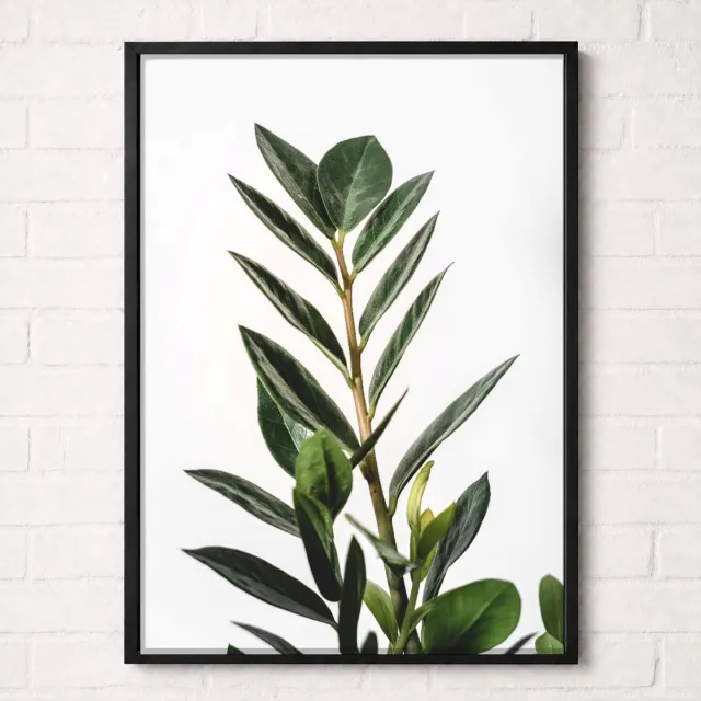 Kleurmedia Botanische Olijftak Poster - Botanical Nature Collection - Natuur Posters - A2+ 43,2 x 61 cm Groen