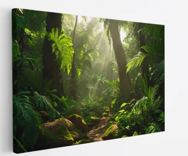 Saammp Canvas Schilderij - Natuur - Jungle met zon - landschap - 100x75 - Foto op canvas - Wanddecoratie - Muurdecoratie Woonkamer - Slaapkamer decoratie - Canvas Print Multicolor