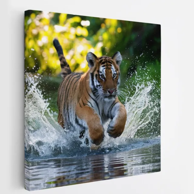 Saammp Canvas Schilderij - Tijger welp in het water - Natuur - Dieren - 40x40 - Foto op canvas - Wanddecoratie - muurdecoratie Woonkamer - Slaapkamer decoratie - Canvas Print Multicolor