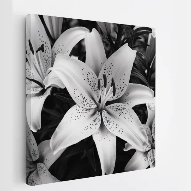 Saammp Canvas Schilderij - Bloemen - Witte Lelies - Natuur - Abstract - 100x100 - Foto op canvas - Wanddecoratie - Muurdecoratie Woonkamer - Kantoor Decoratie Multicolor