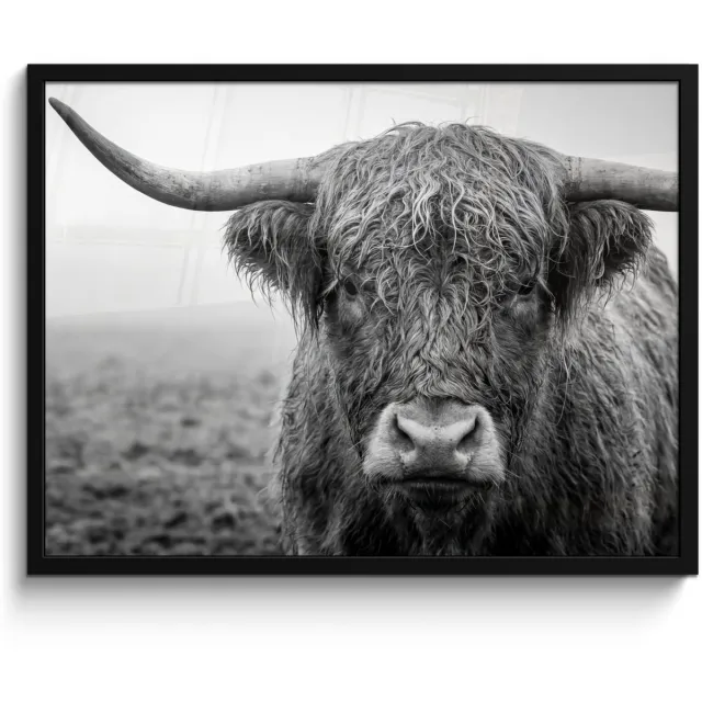FrameYourWall Poster in lijst - Fotolijst 80x60 cm - Posters - Schotse hooglander - Zwart - Wit - Gras - Posterlijst zwart - Decoratie - Wanddecoratie woonkamer - Muurdecoratie slaapkamer