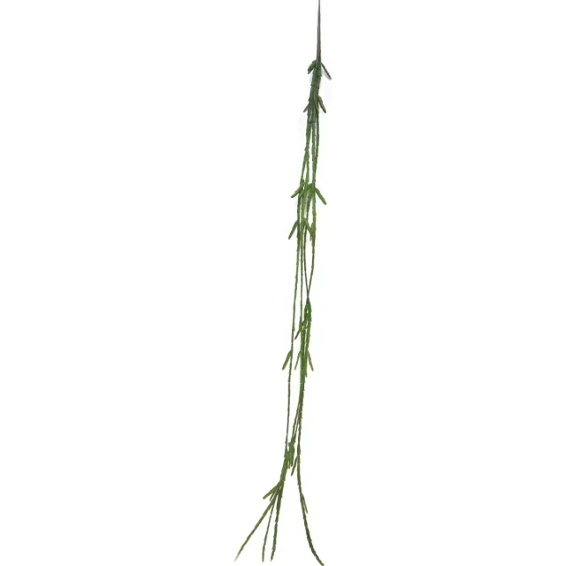 Erutan avon Cactus Lia hanger green 107 cm (S) kunstbloem Erutan Avon groen