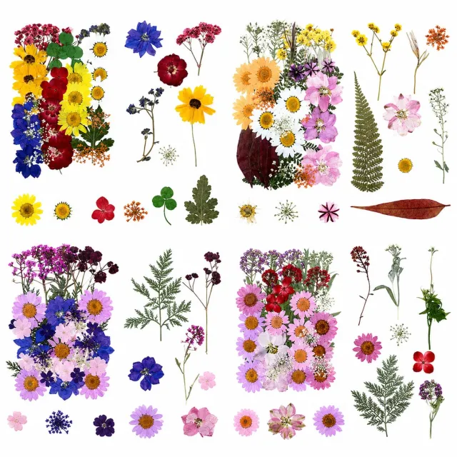 BOTC Natuurlijk Gedroogde Bloemen - Droogbloemen - 140 Stuks - Gedroogde Bloemen Set van 4 stuks - Echte Gedroogde Bloemen en Vlinders voor Resin Art, Sieraden Maken, Scrapbooking en DIY Decoratie Veelkleurig